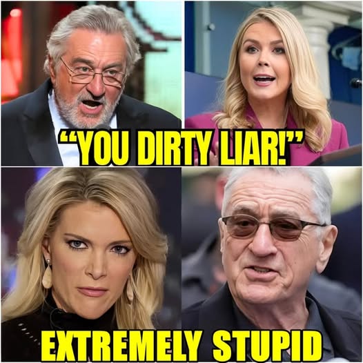 aroline Leavitt DESTROYS Robert De Niro On Live TV