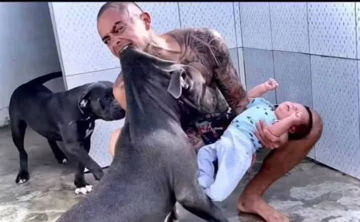 PITBULL DOG ATTACKS HIS OWNER’S SON AND THIS… See more