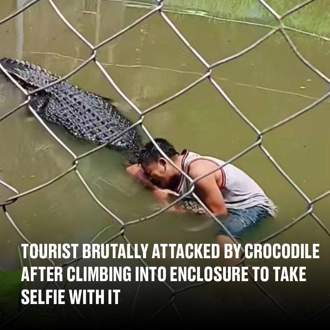 Tourist’s selfie stunt in crocodile enclosure takes deadly turn