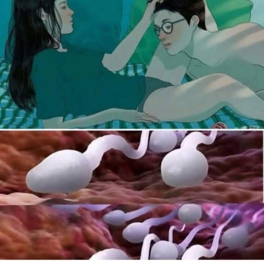 Many know! Studies reveal that swallowing your partner’s semen… See more