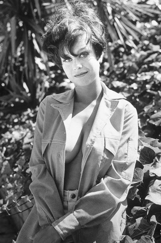 The Sultry Starlet Who Defined Bold Beauty and Timeless Talent